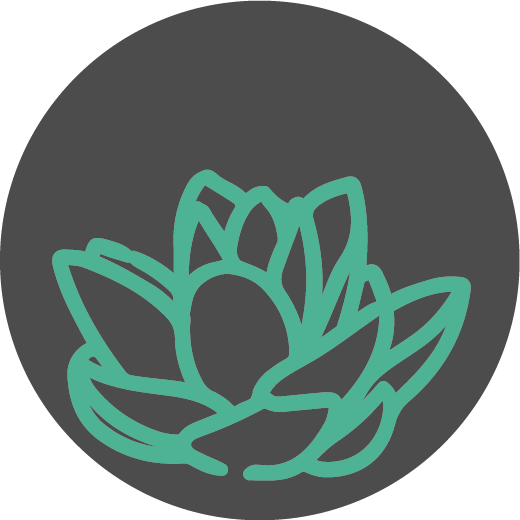 makao_icon makao_icon